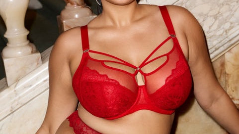 Elomi